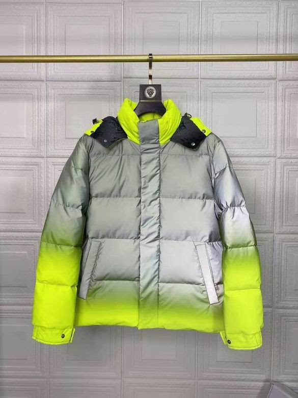 Louis Vuitton Down Jacket Wmns ID:202111c75